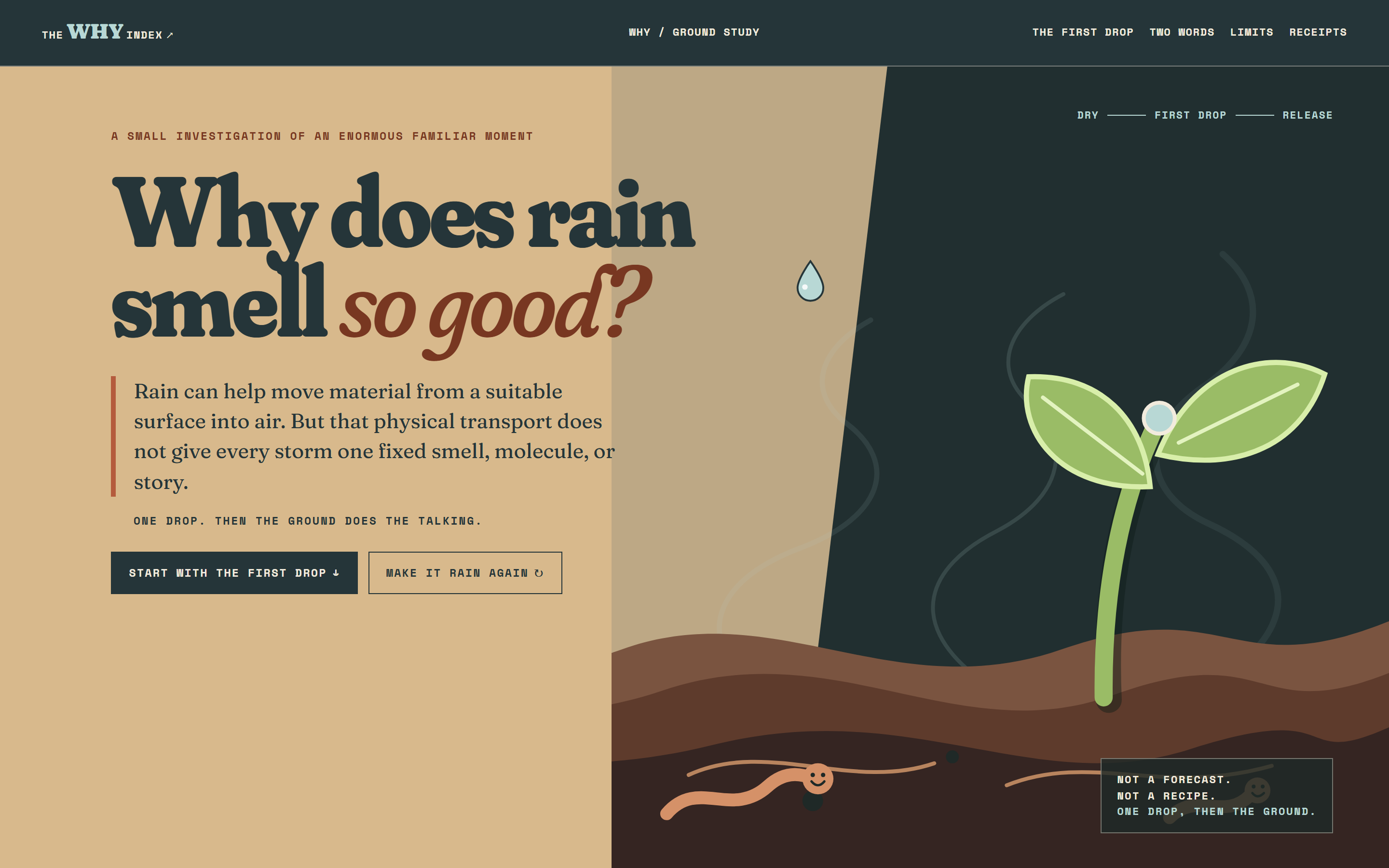 The first screen of whydoesrainsmellgood.com: the headline Why does rain smell so good? on warm sand, the direct answer that rain can help move material from a suitable surface into air but does not give every storm one fixed smell, molecule or story, and beside it a single falling drop, a green sprout holding a bead of water above layered soil with worms underneath, and the note Not a forecast. Not a recipe. One drop, then the ground.